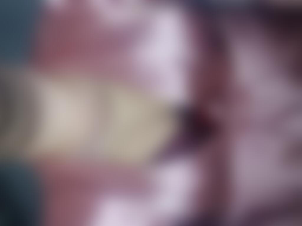 sissybecky88